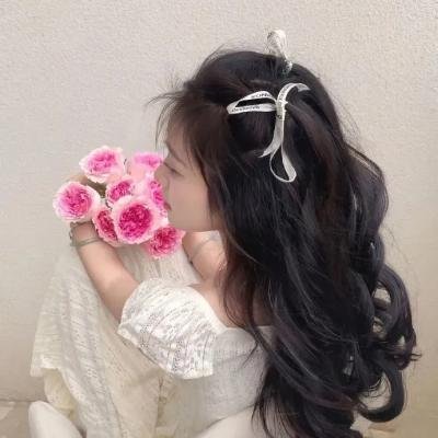 霹雳异数之万里征途